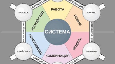 system justification